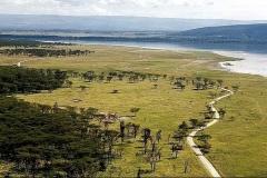 Scogliera del babbuino. Lago Nakuru