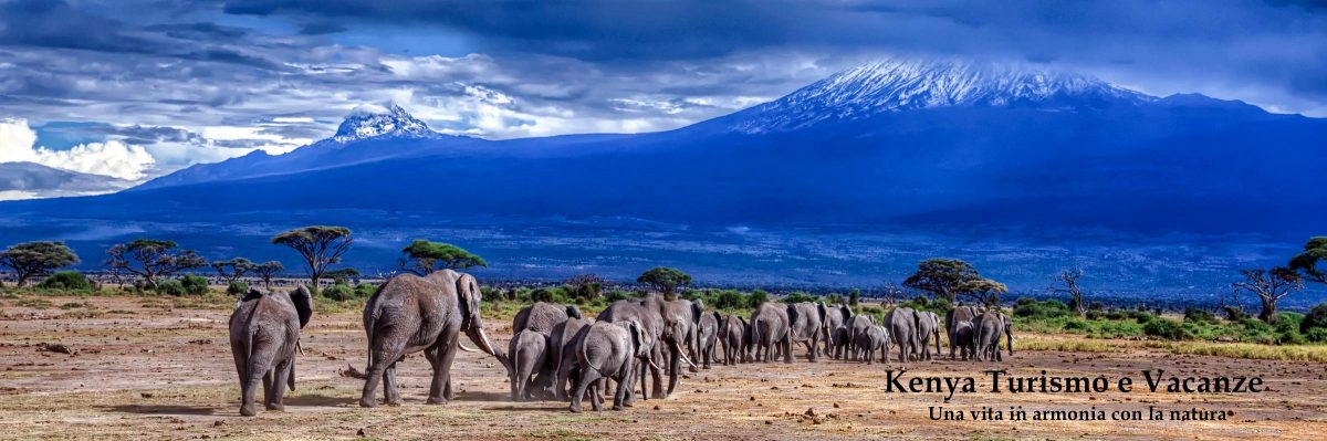 Kenya Turismo e Vacanze